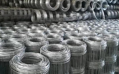 養(yǎng)鹿網(wǎng) 養(yǎng)鹿網(wǎng)