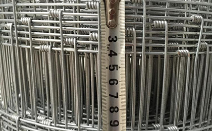 養(yǎng)鹿網(wǎng) 養(yǎng)鹿網(wǎng)