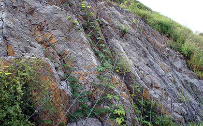 邊坡綠化網(wǎng)  邊坡綠化網(wǎng)