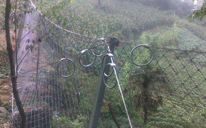 被動防護網(wǎng) 被動防護網(wǎng)