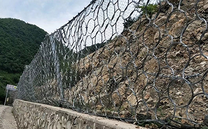 環(huán)形網(wǎng) 環(huán)形網(wǎng)