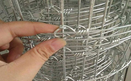 養(yǎng)鹿網(wǎng) 養(yǎng)鹿網(wǎng)