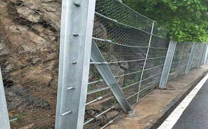 剛性防護(hù)網(wǎng) 剛性防護(hù)網(wǎng)