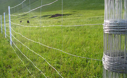 草原網(wǎng) 草原網(wǎng)