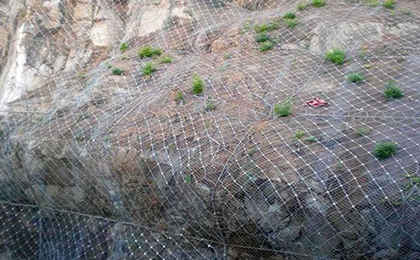 落石防護(hù)網(wǎng) 落石防護(hù)網(wǎng)