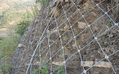 邊坡綠化網(wǎng)  邊坡綠化網(wǎng)