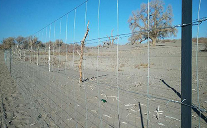 草原網(wǎng) 草原網(wǎng)