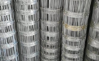 草原網(wǎng) 草原網(wǎng)