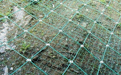 邊坡綠化網(wǎng)  邊坡綠化網(wǎng)