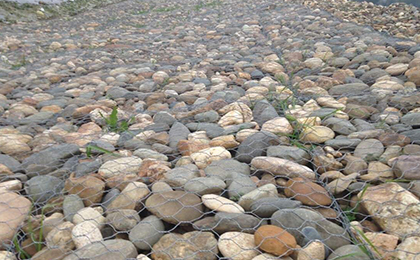 石籠網(wǎng) 石籠網(wǎng)