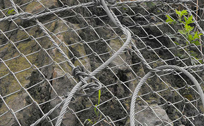 鈦克網(wǎng) 鈦克網(wǎng)