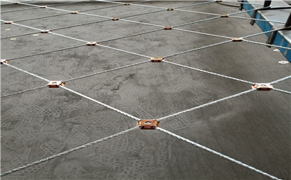 chejian003.jpg chejian003.jpg